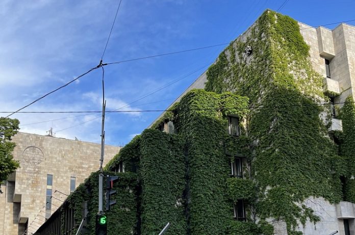 ywuuu-j-wnnogfohybfdww