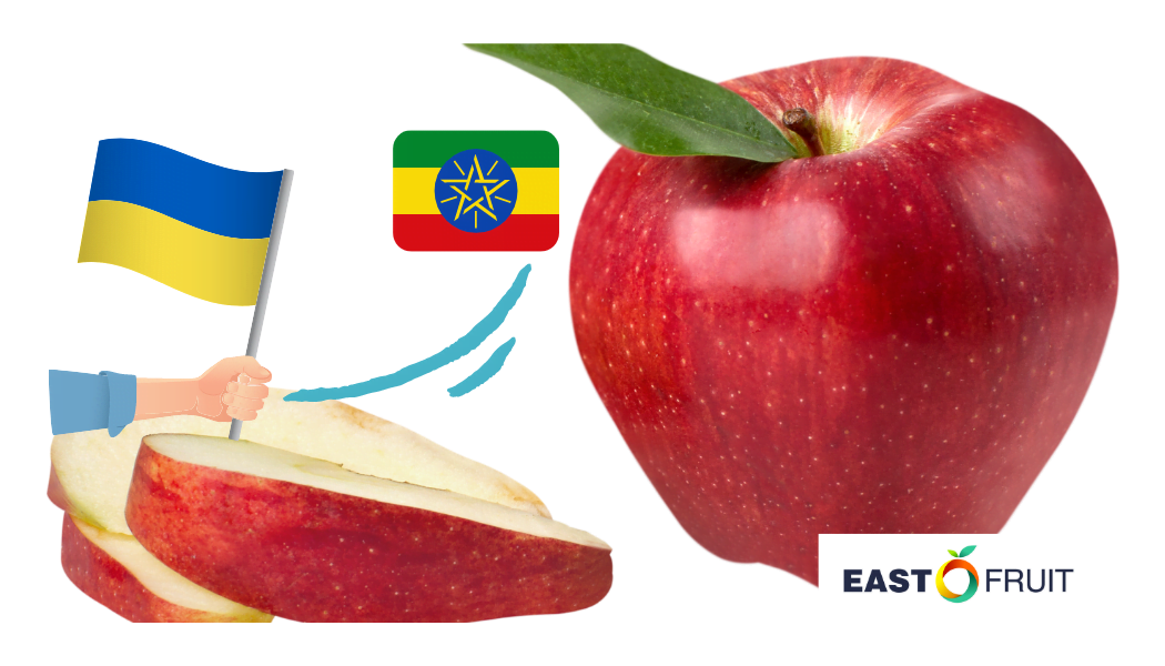 експорт, яблука, Ефіопія, Україна, Польща, Італія