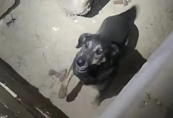 BetterImage_1760704940822