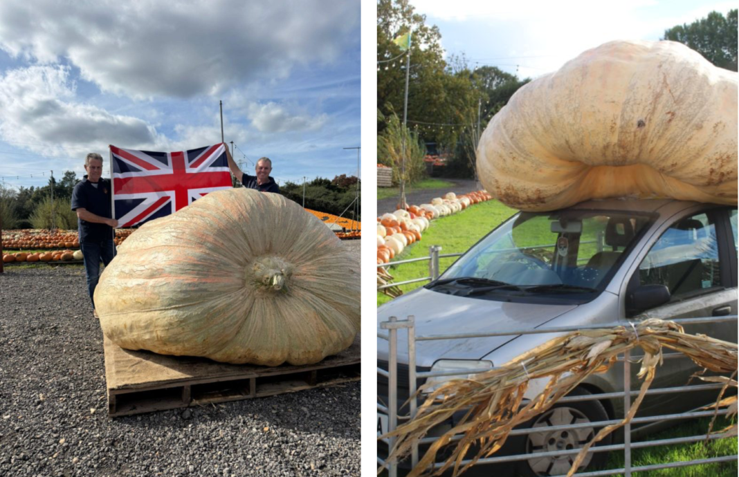 Знімок екрана 2025-10-29 о 12.04.23