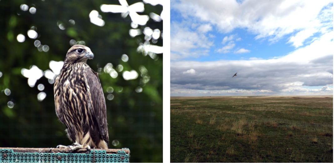 Знімок екрана 2025-10-29 о 16.23.42