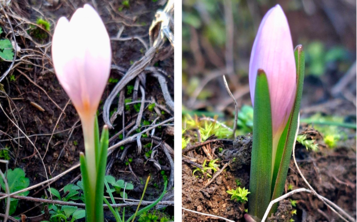 Знімок екрана 2025-12-18 о 13.54.52