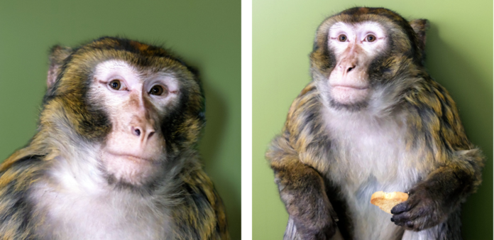 Знімок екрана 2025-12-19 о 17.35.29