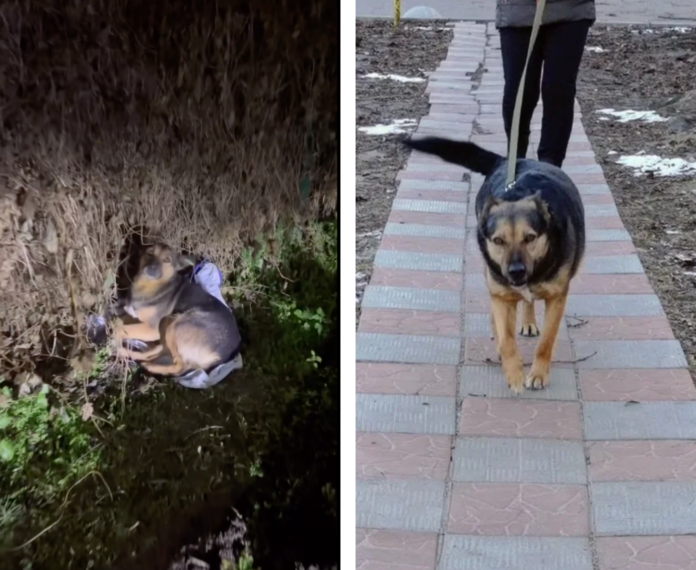 Знімок екрана 2025-12-26 о 20.23.23