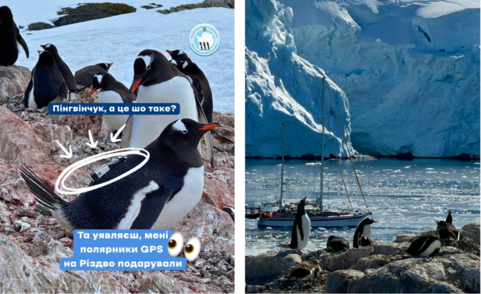 Знімок екрана 2025-12-29 о 17.03.41