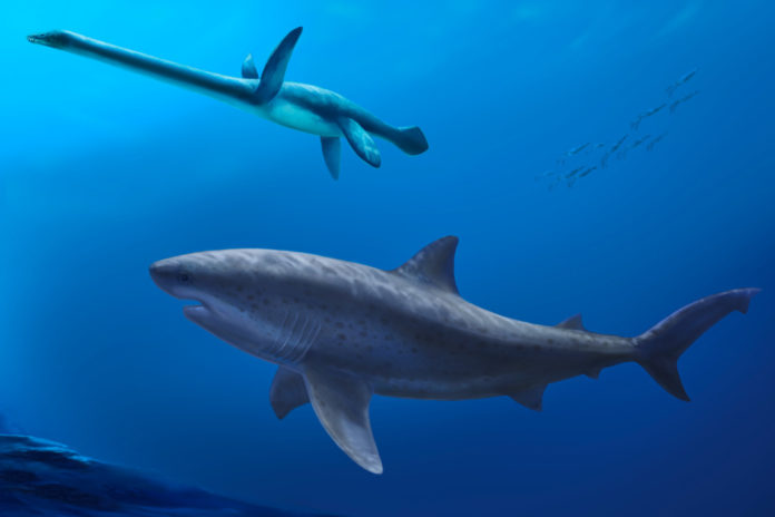 before-megalodon-resea