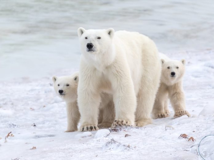 photo_2025-12-19 13.28.51