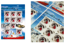 Українська адреса в Антарктиці: Укрпошта випускає марку до 30-річчя “Вернадського”