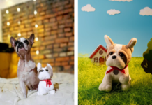 Іграшка трилапої собаки Вікі рятуватиме інших тварин