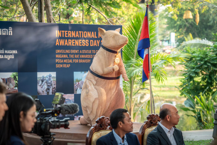 661633584_1379013730928093_4613117685584351843_n