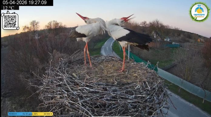 668238852_2716944438703807_7800725768904824398_n