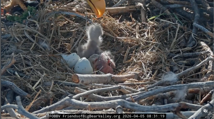 Знімок екрана 2026-04-07 о 13.42.58